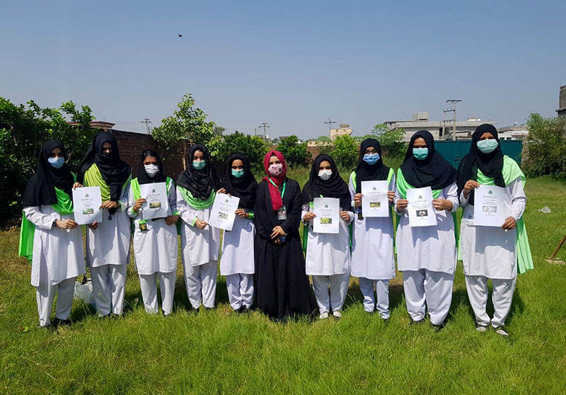 MSM Sisters concludes countrywide Treedom Movement