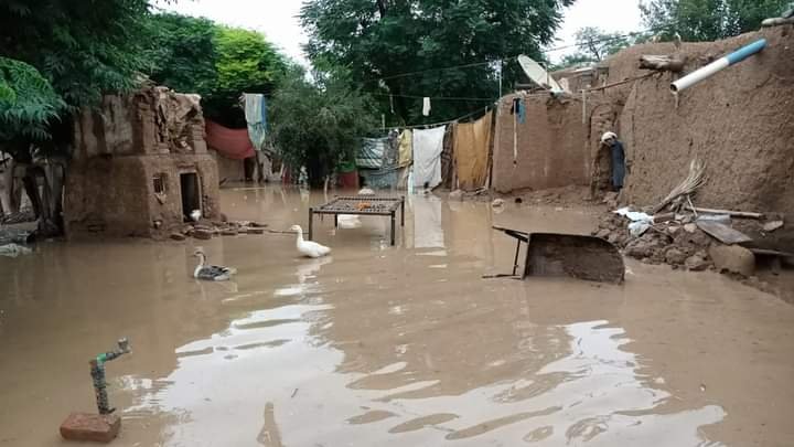 PAT workers taking part in rescue and relief operations in Balochistan