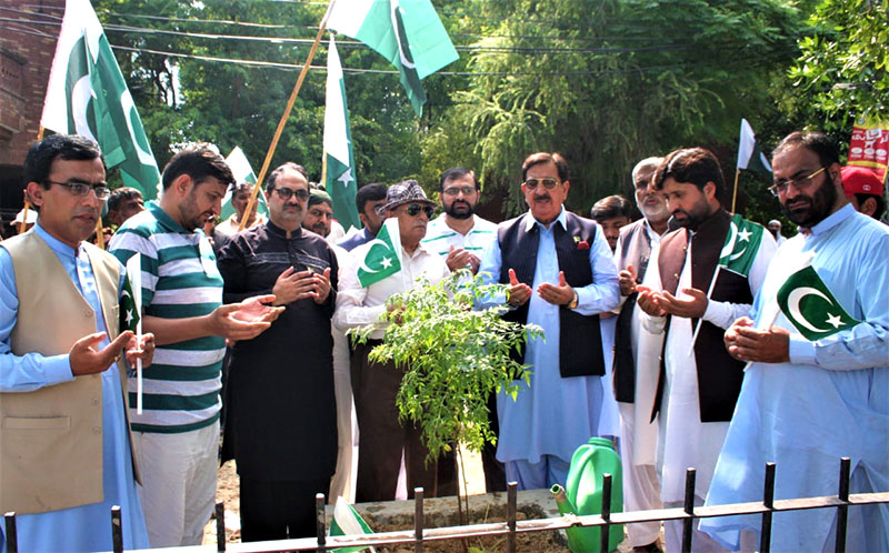 Independence Day should be celebrated with determination for a green Pakistan