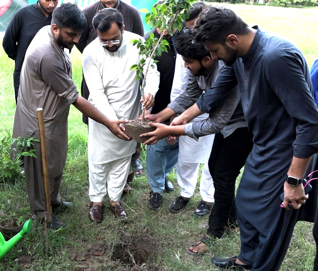 MSM Pakistan Starts tree Planting campaing