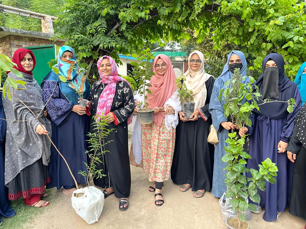 voice tree plantation