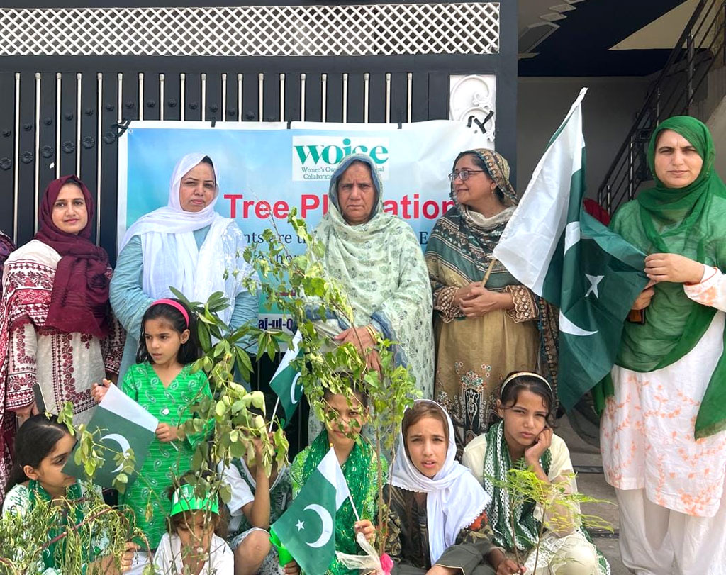 voice tree plantation