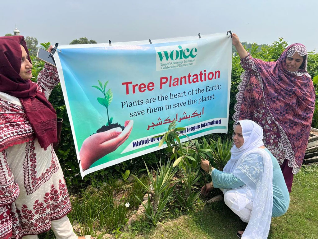 voice tree plantation