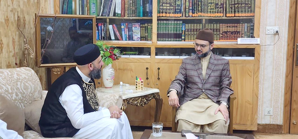 Dr Hassan Qadri Meeting with Canadian Scholars 2025
