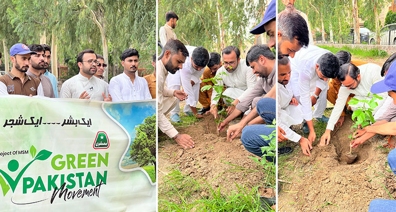 Green-Pakistan Tree Plantation Movement MSM Launch