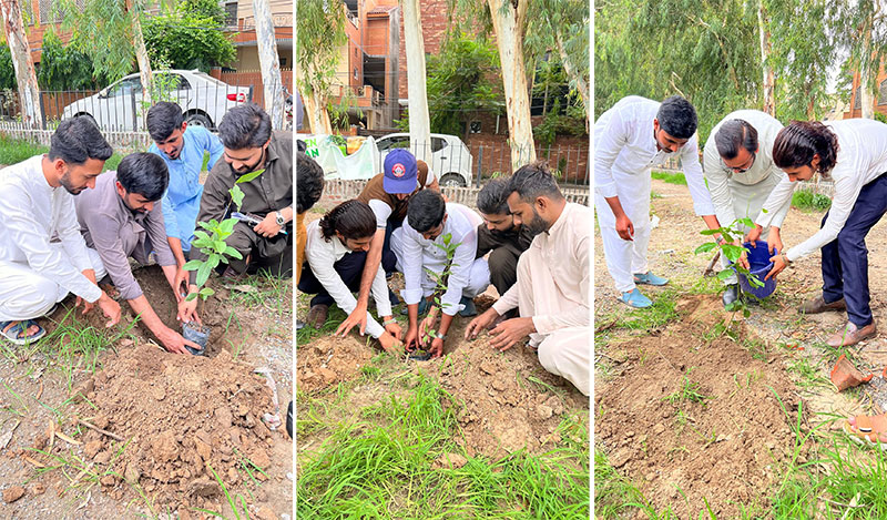Green-Pakistan Tree Plantation Movement MSM Launch