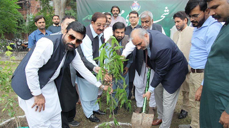 Tree Plantation Ceremony under Minhaj Youth Leauge 2025