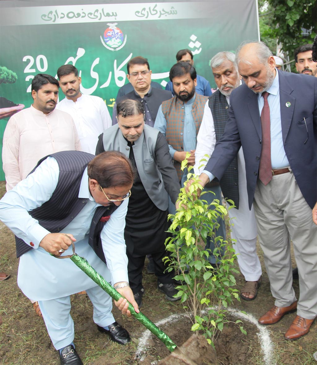 Tree Plantation Ceremony under Minhaj Youth Leauge 2025