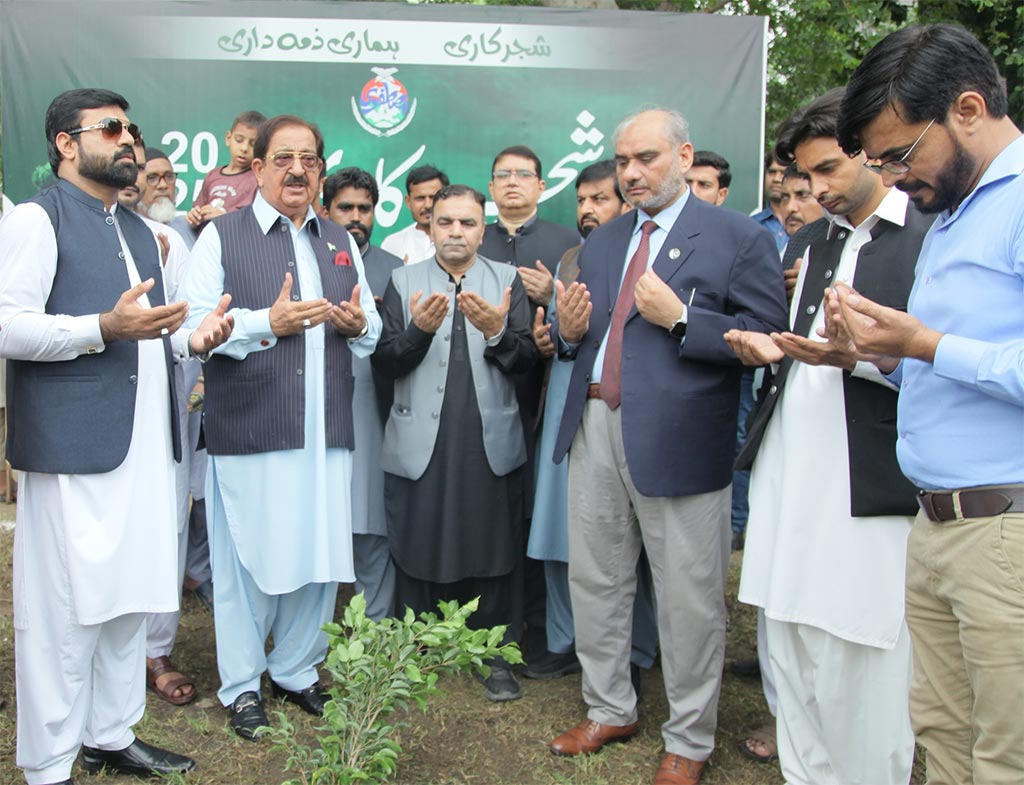 Tree Plantation Ceremony under Minhaj Youth Leauge 2025