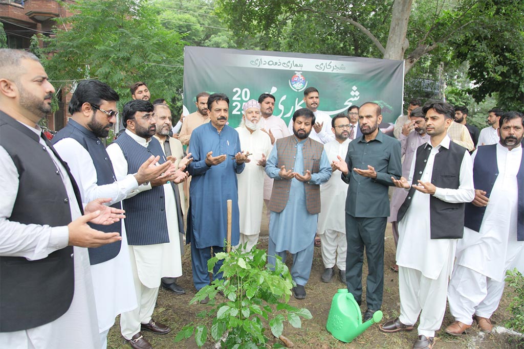 Tree Plantation Ceremony under Minhaj Youth Leauge 2025