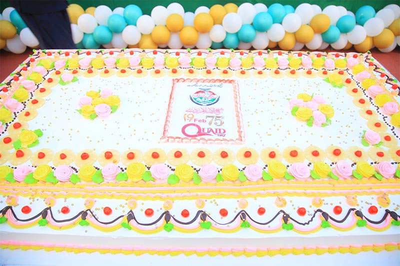 Dr Hussain Qadri Participation Shaykh ul islam day MQI