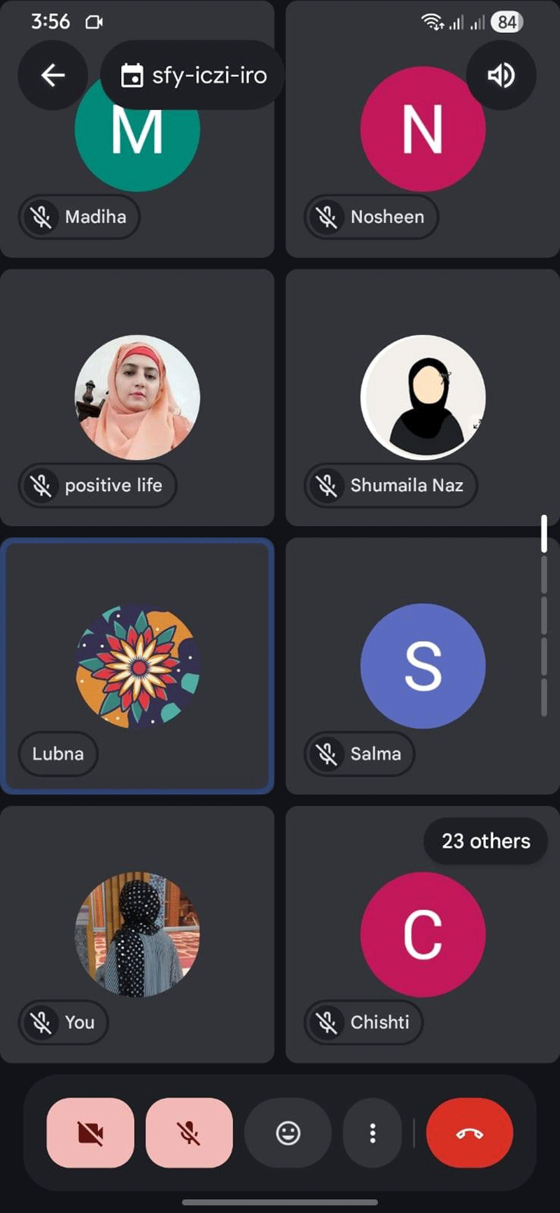 MWL North Punjab Online Meeting