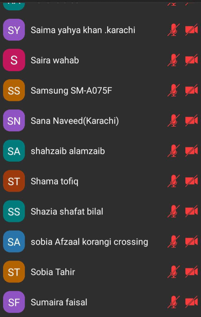 Online Meeting MWL Karachi