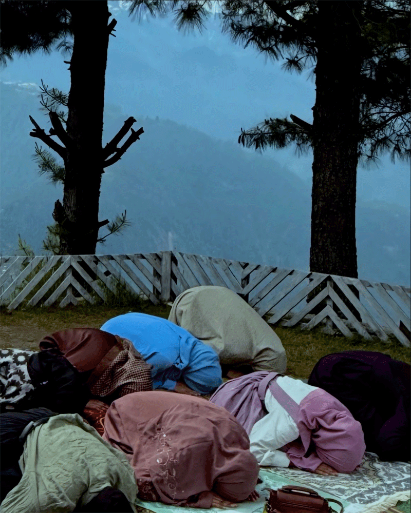 Rawhah Retreat 1.0 A Journey Back to the Creator