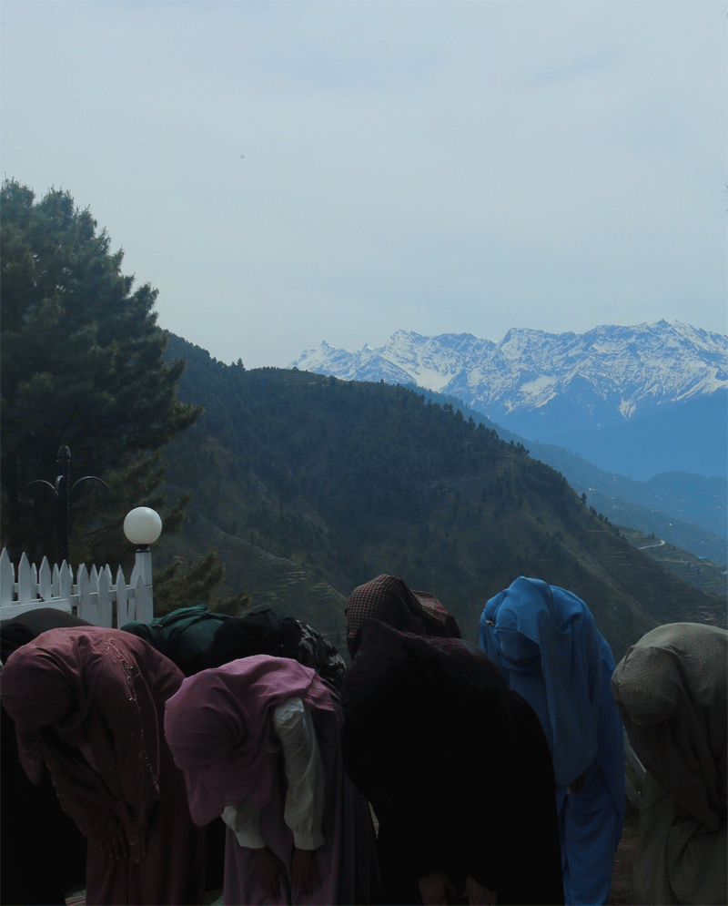 Rawhah Retreat 1.0 A Journey Back to the Creator