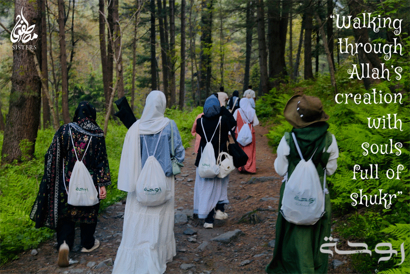 Rawhah Retreat 1.0 A Journey Back to the Creator