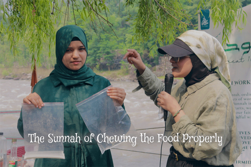 Rawhah Retreat 1.0 A Journey Back to the Creator