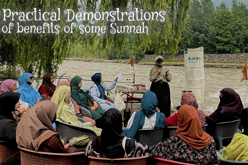 Rawhah Retreat 1.0 A Journey Back to the Creator