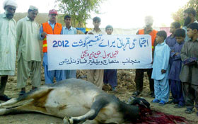 سوئی ڈیرہ بگٹی (بلوچستان) : اجتماعی قربانی 2012ء