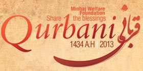 MWF to continue ‘Qurbani campaign’ for three days of Eid