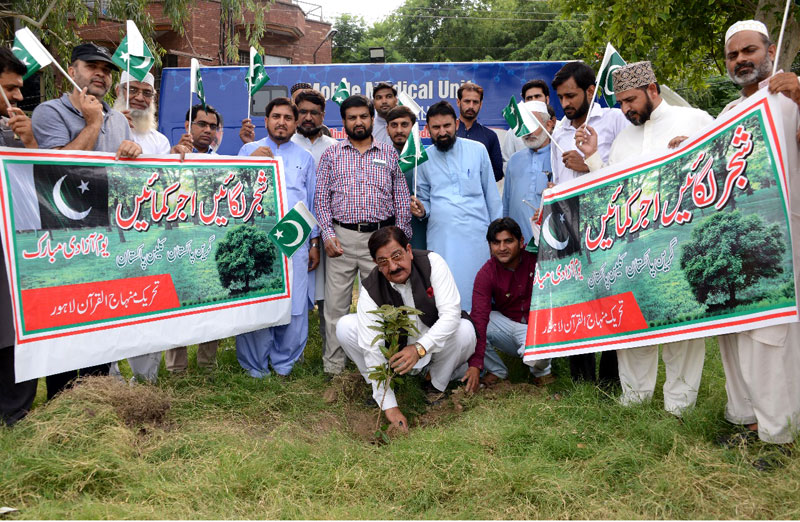 ’’گرین پاکستان، کلین پاکستان‘‘ مہم منہاج القرآن سیکرٹریٹ میں پودے لگانے کی تقریب