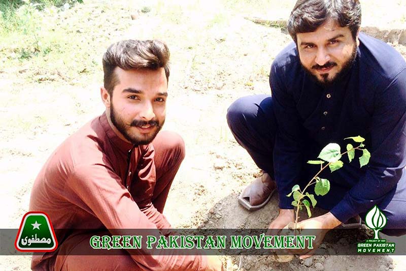 ایم ایس ایم سیالکوٹ کی گرین پاکستان شجرکاری مہم