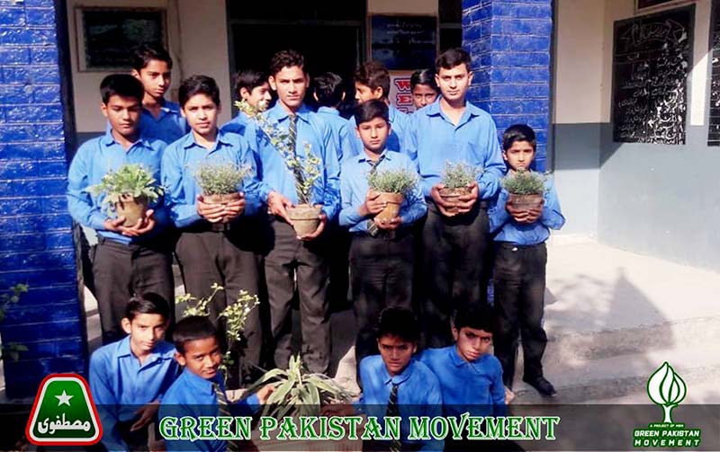 ایم ایس ایم لاہور کی گرین ٹاون سکول میں شجر کاری مہم