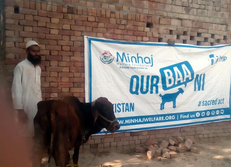 رحیم یار خان ۔ اے (ہیڈ کوارٹر): منہاج ویلفیئر فاؤنڈیشن کے زیراہتمام اجتماعی قربانی، مستحقین میں گوشت کی تقسیم