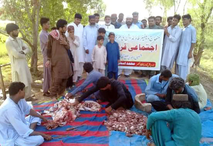 اپر سندھ: منہاج ویلفیئر فاؤنڈیشن کے زیراہتمام اجتماعی قربانی، مستحقین میں گوشت کی تقسیم