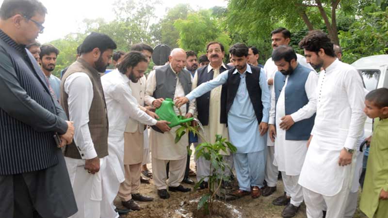 Chaudhry Sarwar launches tree plantation drive under MYL