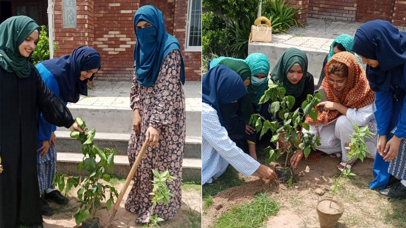 MSM Sisters Sialkot plants trees for a greener future under the Treedom Movement