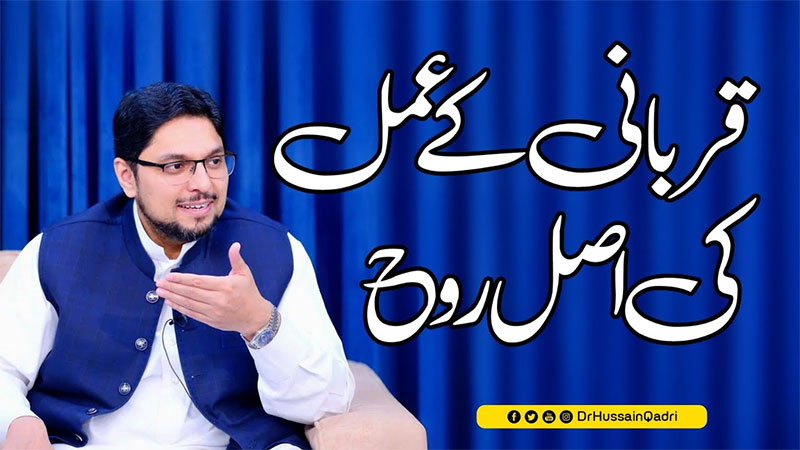 قربانی کی روح اپنے نفس، خواہشات، اور دنیاوی محبتوں کو اللہ تعالیٰ کی رضا پر قربان کرنا ہے: پروفیسر ڈاکٹر حسین محی الدین قادری