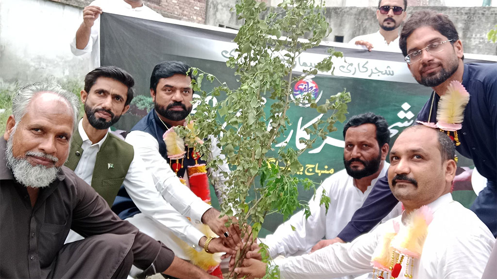 منہاج یوتھ لیگ حافظ آباد کے زیراہتمام شجرکاری مہم 2025 کا آغاز