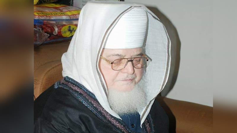پیر طریقت حضرت پیر روح الحسنین معین (دیول شریف)