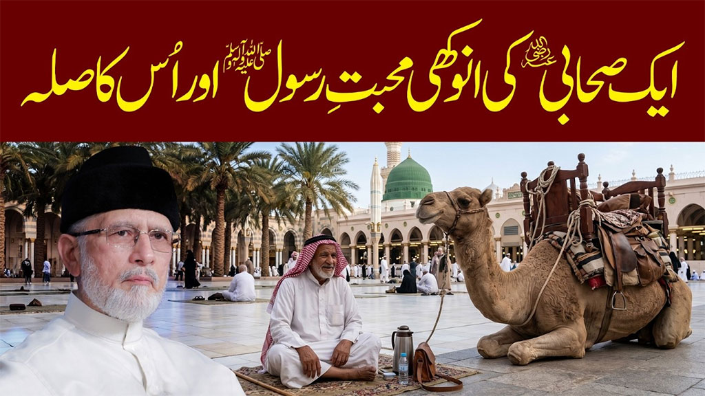 جس دل میں حضور نبی اکرم ﷺ کی سچی محبت جاگزیں ہو، اُس کی لغزشیں بھی اُسے رحمتِ مصطفی ﷺ سے محروم نہیں کر سکتیں: شیخ الاسلام ڈاکٹر محمد طاہرالقادری
