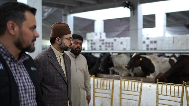 پروفیسر ڈاکٹر حسن محی الدین قادری کا منہاج ویلفیئر فاؤنڈیشن کے زیرِاہتمام قائم مرکزی قربان گاہ (سلاٹر ہاؤس) کا دورہ