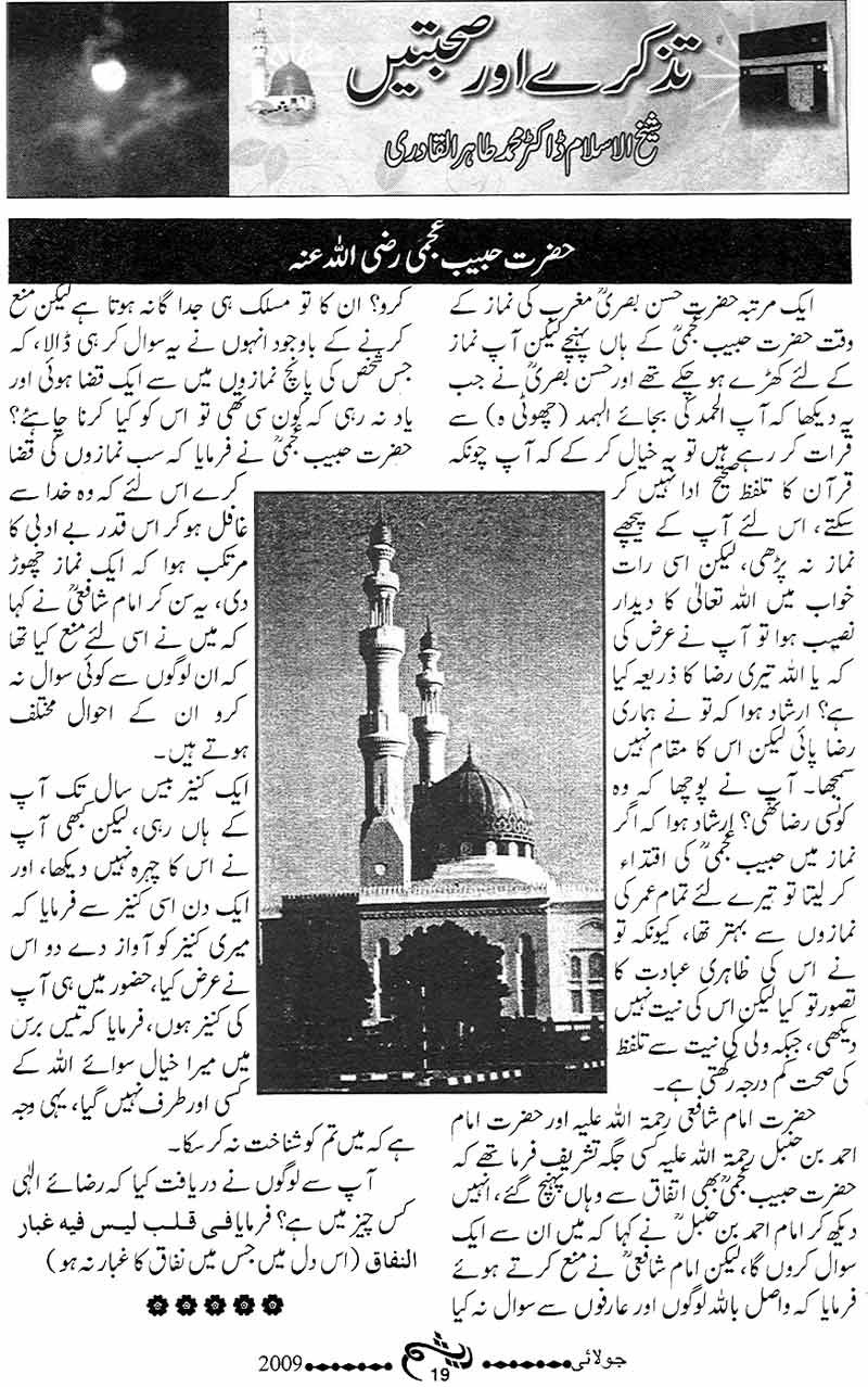 تحریک منہاج القرآن Minhaj-ul-Quran  Print Media Coverage پرنٹ میڈیا کوریج Monthly Raysham Page: 19