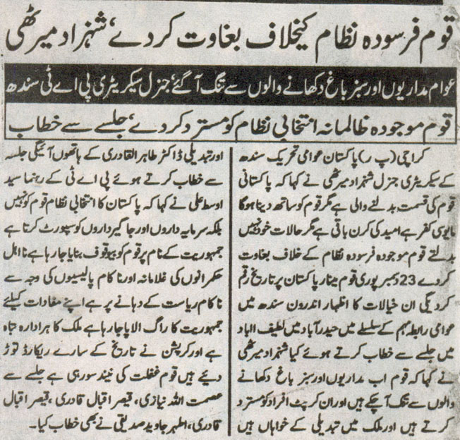Pakistan Awami Tehreek Print Media CoverageDaily kainat Page-2